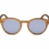 Aarni WYNN ZEBRAWOOD Aurinkolasit 6430066270231