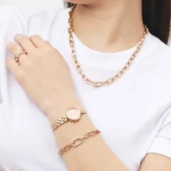 Daniel Wellington Crystal Link Teräsrannekoru DW00400BRG