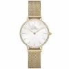 Daniel Wellington Petite Naisten Kello DW00100662