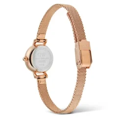 Daniel Wellington Petite Mini Naisten Kello DW00100744