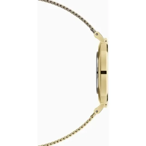 Daniel Wellington Petite Naisten Kello DW00100345