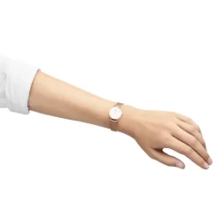 Daniel Wellington Petite Naisten Kello DW00100447