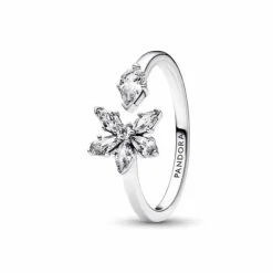 Pandora Hopeasormus 192611C01