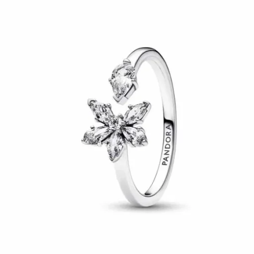 Pandora Hopeasormus 192611C01