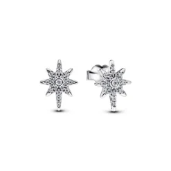 Pandora Timeless Hopeakorvakorut 293587C01