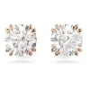 Swarovski Jewelry Muotikorvakoru 5638801