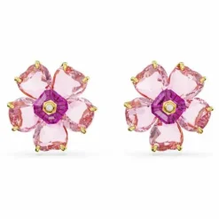 Swarovski Jewelry Muotikorvakoru 5650563