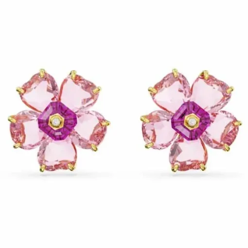 Swarovski Jewelry Muotikorvakoru 5650563