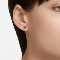 Swarovski Jewelry Stilla Muotikorvakoru 5639133