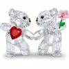 Swarovski Kristalliesine 5558892